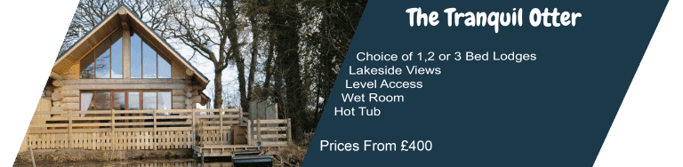 Lakeside lodge with hot tub, accessible features, and boat.