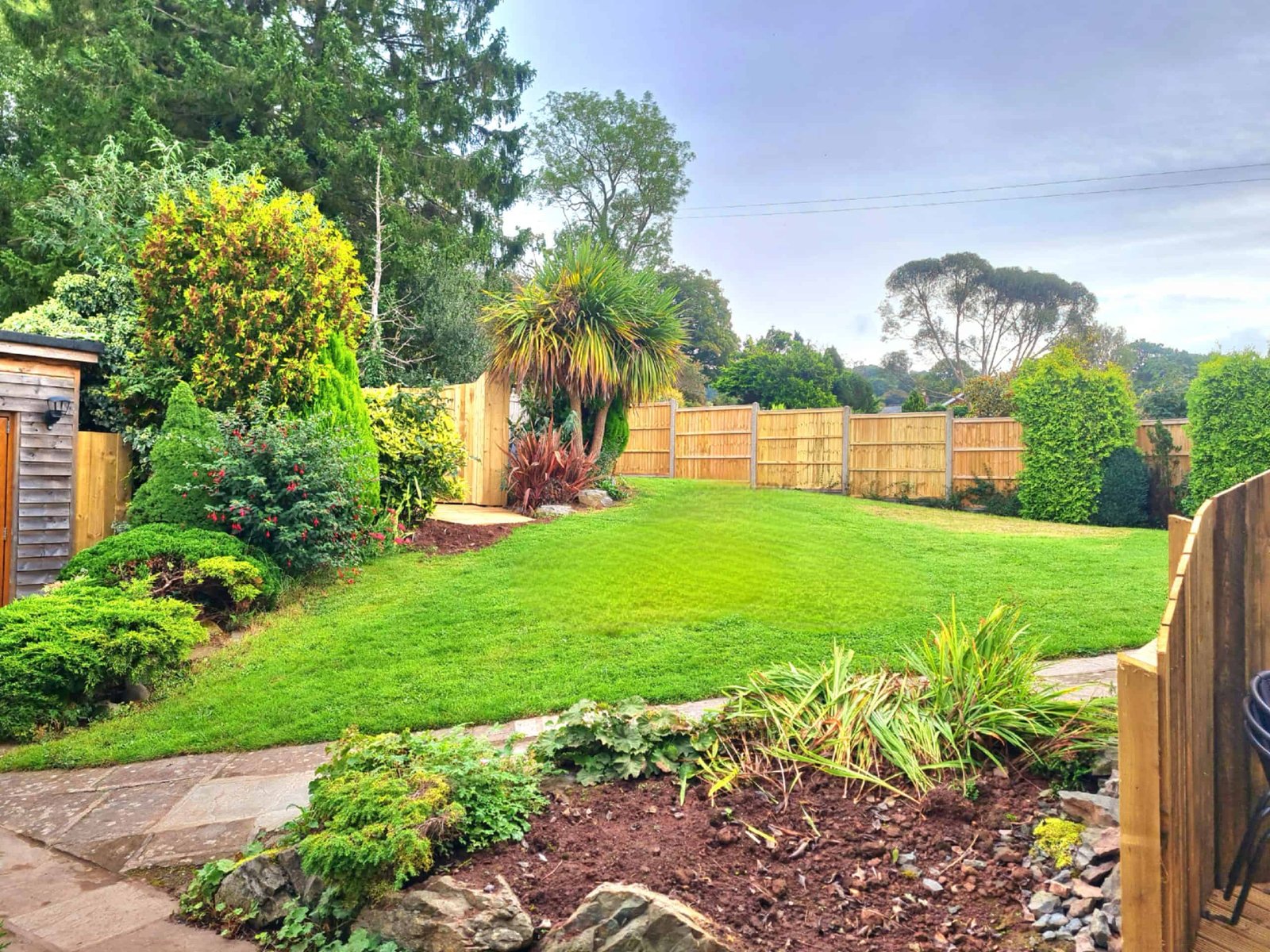 Lush backyard garden with vibrant green lawn and plants