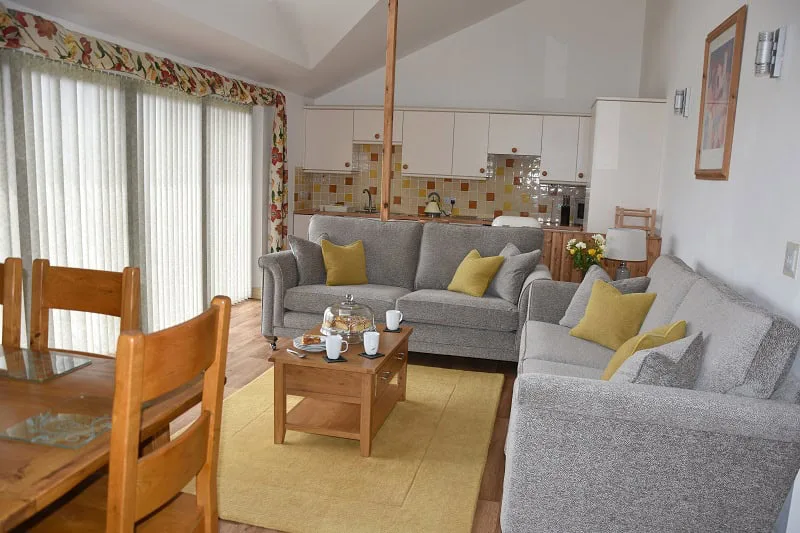 Cozy living room with kitchenette and wooden dining set