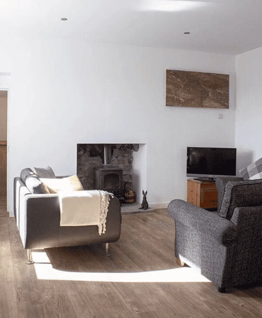 Modern living room with fireplace and wooden floor
