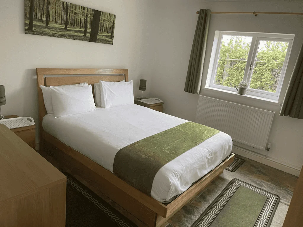 Inviting bedroom with lush green view from window