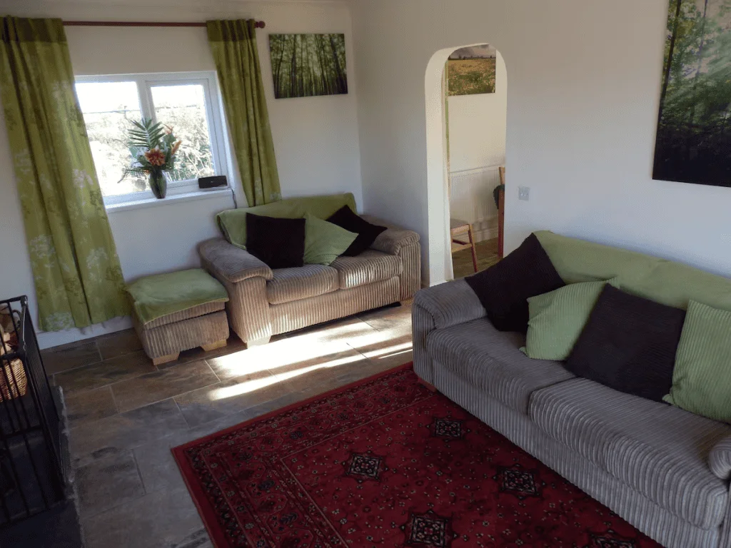 Sunny living room with couches and red carpet