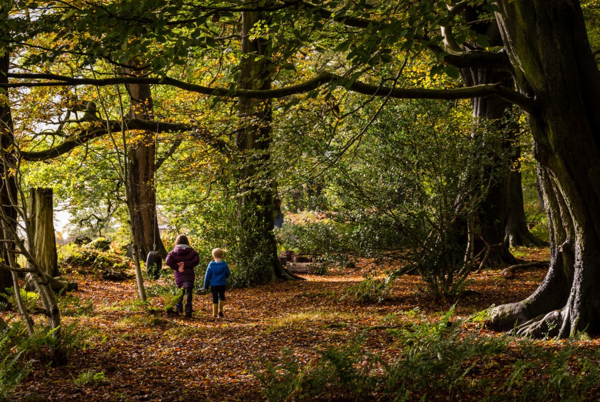 People walking in autumn forest scene.