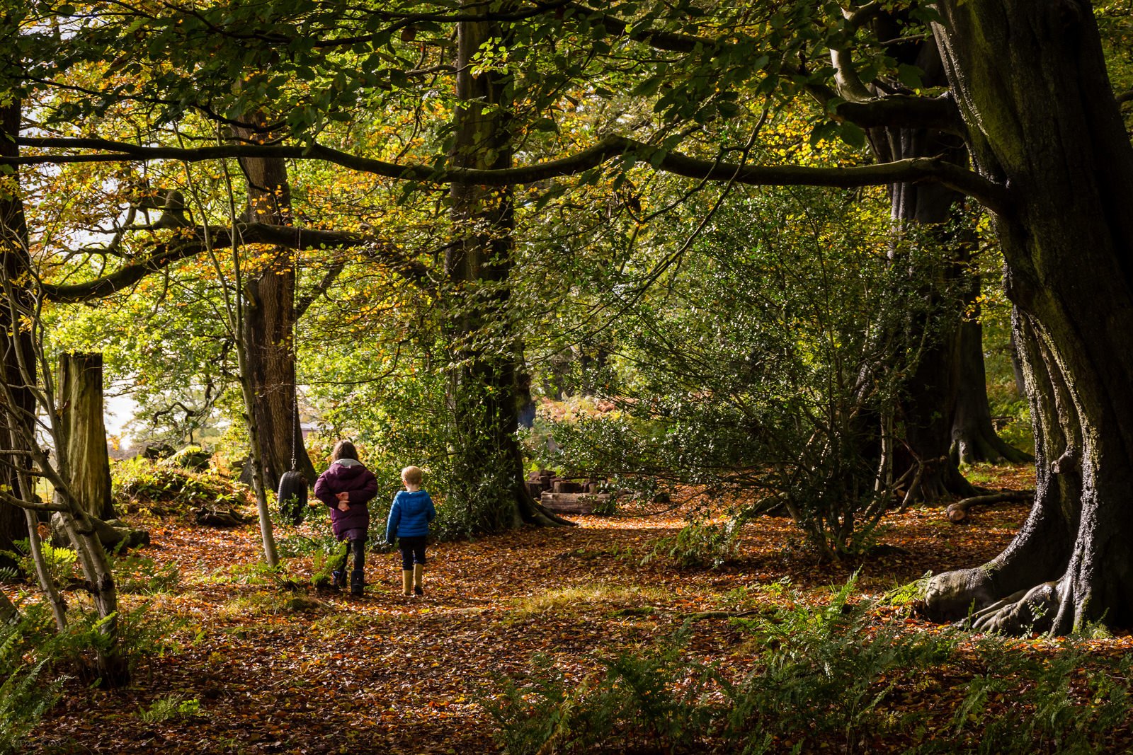 People walking in autumn forest scene.