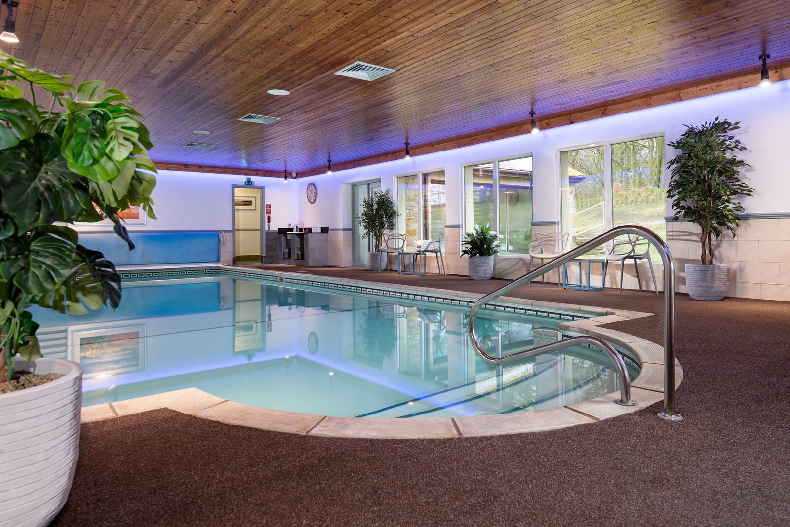 Indoor swimming pool with wooden ceiling and plants.